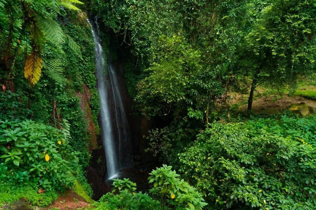The Highland Park Resort Bogor-1